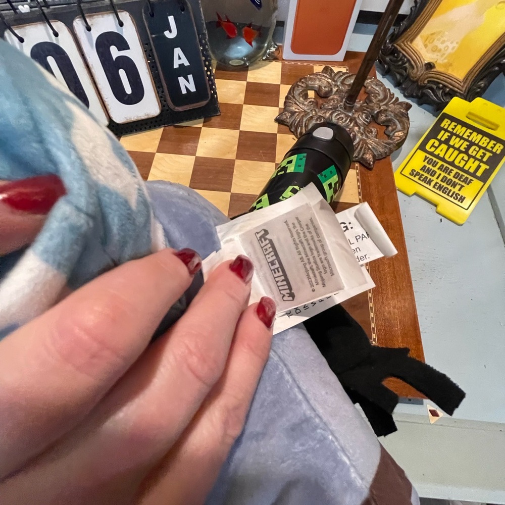 Minecraft bundle - Picture 9 of 15